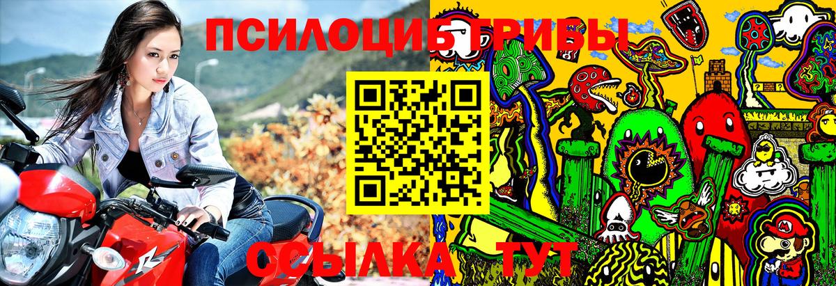 Галлюциногенные грибы Psilocybine cubensis  Вход с VPN  Сланцы  Псилоцибиновые грибы мицелий 