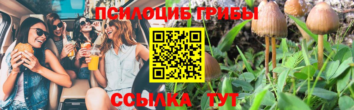 Псилоцибиновые грибы мицелий Сланцы
